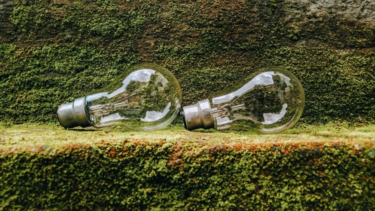 Would You Notice If It Was Sustainable?