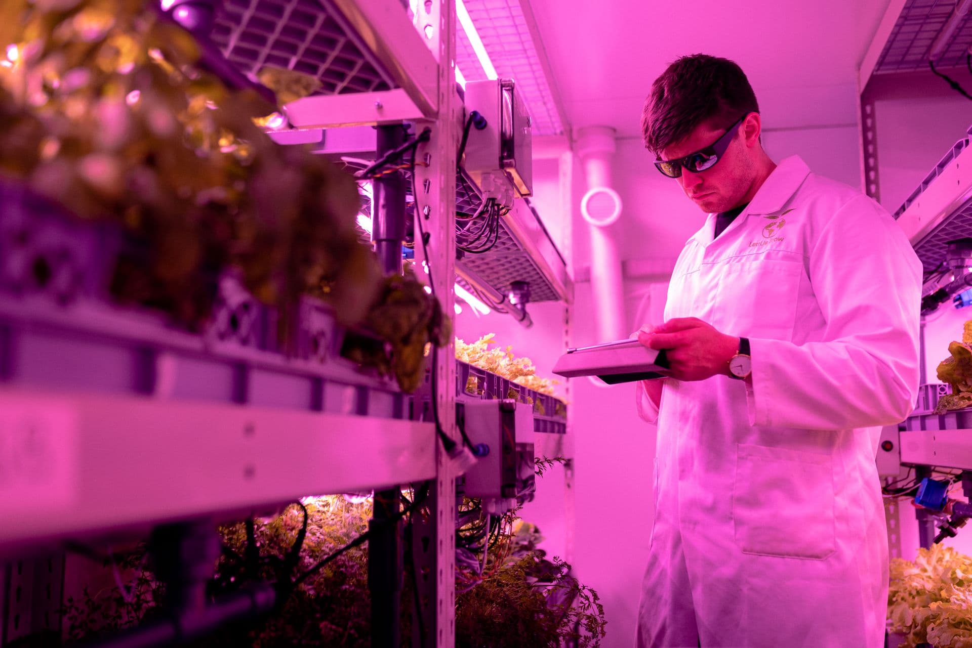 Sustainability Storyteller: Translating Engineering Wins Into Customer Stories
