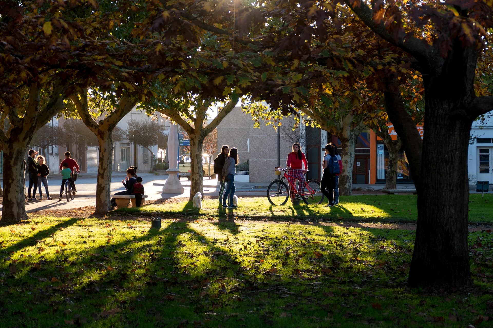From Campus to Community